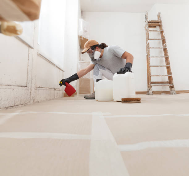 Best Post-Construction Mold Inspection  in Fayetteville, NC